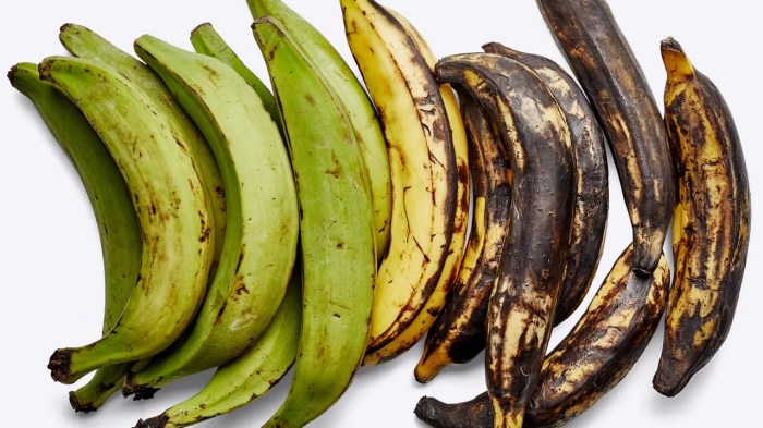 How to cook plantains honduran style