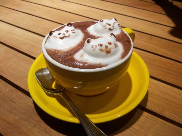 How to make decoration on lattes