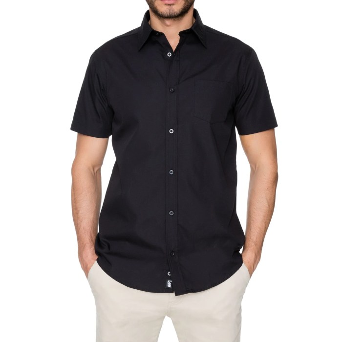 Short sleeve dress shirts for men