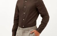 Mens dress shirts brown